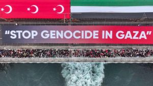 ফিলিস্তিনের সমর্থন