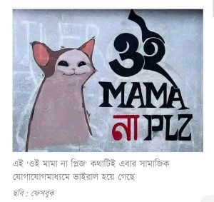 ভাইরাল কিছু কথা,ওই মামা না প্লিজ’, তরুণদের জনপ্রিয় বাক্য, সামাজিক যোগাযোগমাধ্যম, ফেসবুক পেজ, সার্কাজম, ‘নাটক কম করো পিও’, টিকটক ভিডিও, মিথ্যাচার, মিম, ‘এটা কি ভাই?’, ফানি ভিডিও, সামাজিক পরিসর, অবাক হওয়ার বাক্য, ফেসবুক প্ল্যাটফর্ম, প্রতিবাদ বাক্য, তরুণ প্রজন্ম