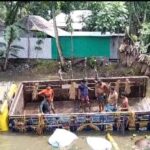 রাজবাড়ী-কুষ্টিয়া আঞ্চলিক মহাসড়কে গরুবাহী একটি ট্রাক নিয়ন্ত্রণ হারিয়ে খাদে উল্টে দুই ব্যবসায়ী নিহত