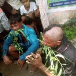ভারতে গো-রক্ষার নামে মুসলিম সন্দেহে লাঞ্ছিত ২ জন (ভিডিও)
