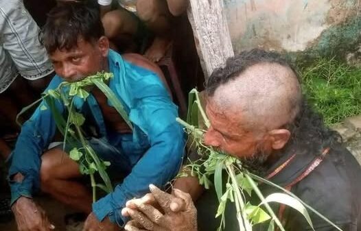 দুই দলিত সম্প্রদায়ের হিন্দুকে শারীরিকভাবে লাঞ্ছিত করেছে উগ্রবাদী হিন্দুরা, ছবি: ফেসবুক