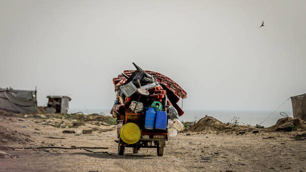 displaced_gaza