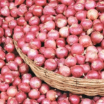 গুজবে পেঁয়াজের দাম কমলো ৩০ টাকা, আমদানি সিদ্ধান্তে সরকারের সতর্ক অবস্থান