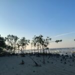 ডিমের চরের নিরব কান্না ও নীল অর্থনীতির ভবিষ্যত