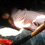 রাজবাড়ীর বালিয়াকান্দিতে গলায় ফাঁস নিয়ে এক তরুনী আত্মহত্যা