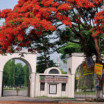 ইবিতে জুলাই বিপ্লববিরোধী অভিযোগে ফের ৯ শিক্ষক বরখাস্ত