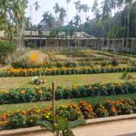 ইট–কংক্রিটের ভিড়ে বার্ডের ফুলবাগান: নীরব সৌন্দর্যে প্রাণের আশ্রয়