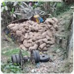 রাজবাড়ীতে আলুভর্তি ট্রাক উল্টে নিহত ১