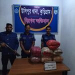 উলিপুরে সিনেমার মতো ধাওয়া! উল্টে গেল সিএনজি, মিলল ২৭ কেজি গাঁজা