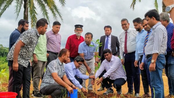 কুমিল্লা বিশ্ববিদ্যালয়ে বৃক্ষরোপণ কর্মসূচি