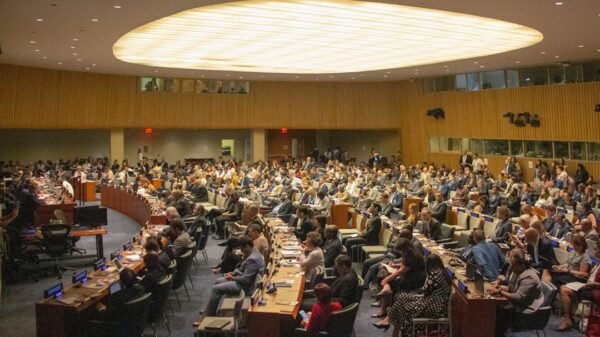 United Nations delegates at a sustainable development forum