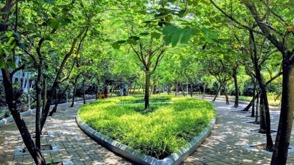 Green campus trees, illustrative photograph by Vishnu Prasad / Unsplash
