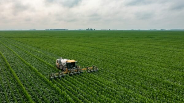 Illustrative photograph of agricultural field; not the actual reported event