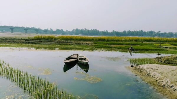 Illustrative photograph for farmers news; Unsplash